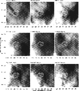 \begin{figure}
\includegraphics [width=17.5cm]{002sl.eps}

\vspace{1cm}
 \end{figure}