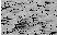 \begin{figure}
\psfig {file=fig3.ps,height=75mm,width=120mm}\end{figure}