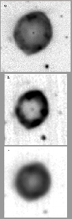 \begin{figure}
\psfig {figure=ds7743f4.eps,height=20cm}
 \end{figure}