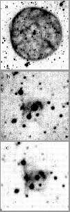 \begin{figure}
\psfig {figure=ds7743f5.eps,height=20cm}
 \end{figure}