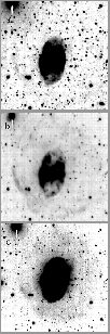 \begin{figure}
\psfig {figure=ds7743f6.eps,height=20cm}
 \end{figure}