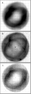 \begin{figure}
\psfig {figure=ds7743f11.eps,height=20cm}
 \end{figure}