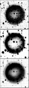 \begin{figure}
\psfig {figure=ds7743f14.eps,height=20cm}
 \end{figure}