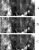 \begin{figure}
\includegraphics [width=8.8cm,clip=]{fig5.eps}
 \end{figure}