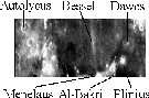 \begin{figure}
\includegraphics [width=8.8cm,clip=]{fig2.eps}
 \end{figure}