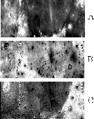 \begin{figure}
\includegraphics [width=8.8cm,clip=]{fig3.eps}
 \end{figure}