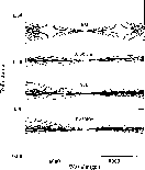 \begin{figure}
{
\includegraphics [width=8.8cm,clip]{7929f5.eps}
}\end{figure}
