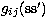 $g_{ij}({\rm ss}')$