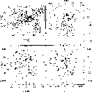 \begin{figure}
\epsfig {file=1599f16.eps,width=8.8cm}\end{figure}