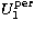 $U_{1}^{\rm per}$