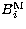 $B_{i}^{\rm M}$