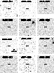 \begin{figure}
\psfig {height=24cm,file=7839f2.ps,angle=0}
\end{figure}