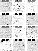 \begin{figure}
\psfig {height=24cm,file=7839f3.ps,angle=0}
\end{figure}