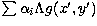 $\sum \alpha_i \Lambda g(x',y')$