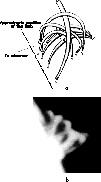 \begin{figure}
\begin{center}
\epsfysize 350pt
\epsfbox{ds7864f11.eps}\end{center}\end{figure}