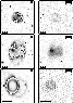 \begin{figure}
\includegraphics [height=22cm,clip=]{fig5.ps}
\end{figure}