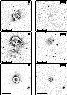\begin{figure}
\includegraphics [height=22cm,clip=]{fig6.ps}
\end{figure}