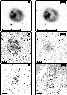 \begin{figure}
\includegraphics [height=22cm,clip]{fig8.eps}
\end{figure}