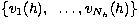 $\{v_1(h),~\ldots,v_{N_h}(h)\}$