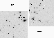 \begin{figure}
\includegraphics [width=18cm]{fig6_field5.ps}\end{figure}