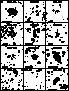 \begin{figure}
\includegraphics [height=21cm]{fig13_thumbnail_K.ps}\end{figure}