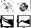 \begin{figure}
\begin{tabular}
{cc}

\includegraphics [height=7cm,clip]{ih17con....
 ...
\includegraphics [height=6.5cm,angle=-90]{h17d.ps}
\\ \end{tabular}\end{figure}