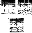 \begin{figure}
\includegraphics [width=10cm]{fig2.eps}\end{figure}