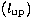 $(l_{\rm up})$