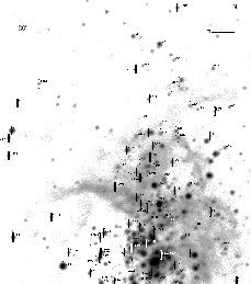 \begin{figure}
\includegraphics [width=15cm]{H1193F1.ps}\end{figure}