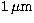 $\rm 1 \,\mu m$