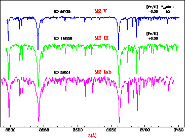 \begin{figure}
{
\psfig {file=fig07.ps,width=18truecm}
}\end{figure}