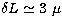 $\delta L \simeq 3~\mu$