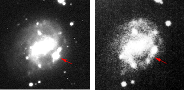 \begin{figure}

\includegraphics [width=11.8cm,angle=-90]{beforeandafter.bw.arrows.ps}\end{figure}