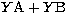 $Y{\rm A}+Y{\rm B}$