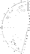 \begin{figure}
\includegraphics [width=6.5cm]{ds1623f1.eps}\end{figure}