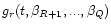 $g_r(t,\beta_{R+1},...,\beta_Q)$