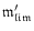 ${\frak m}_{{\frak{lim}}}'$
