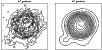 \begin{figure}
\includegraphics[width=9.5cm]{figure2.eps}\end{figure}
