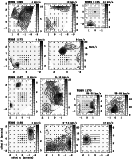 \begin{figure}\resizebox{\hsize}{!}{\includegraphics{h1645_fig2.eps}} \end{figure}