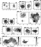 \begin{figure}\resizebox{\hsize}{!}{\includegraphics{h1645_fig6.eps}} \end{figure}