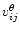 $v^\theta_{ij}$