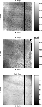 \begin{figure}\par\includegraphics[width=7.8cm]{ds8869f7a.eps}
\includegraphics[...
...cm]{ds8869f7b.eps}
\includegraphics[width=7.8cm]{ds8869f7c.eps}
\par\end{figure}