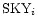${\rm SKY}_i$
