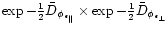 $\exp {-\frac{1}{2}\bar{D}_{\phi _{\epsilon _{\parallel }}}}
\times \exp -\frac{1}{2}\bar{D}_{\phi _{\epsilon _\perp}}\!\!$