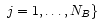 $~j=1,\dots,N_B\}$