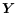 $\vec Y$