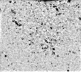 \begin{figure}
\includegraphics[angle=0,width=10cm]{dio_ikar12.eps}\par\end{figure}
