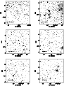 \begin{figure}\includegraphics[width=8cm]{H1857f4a.ps}\end{figure}