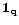 $\vec{1}_{\mathbf{q}}$