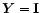 $\vec{Y}=\mathbf{I}$